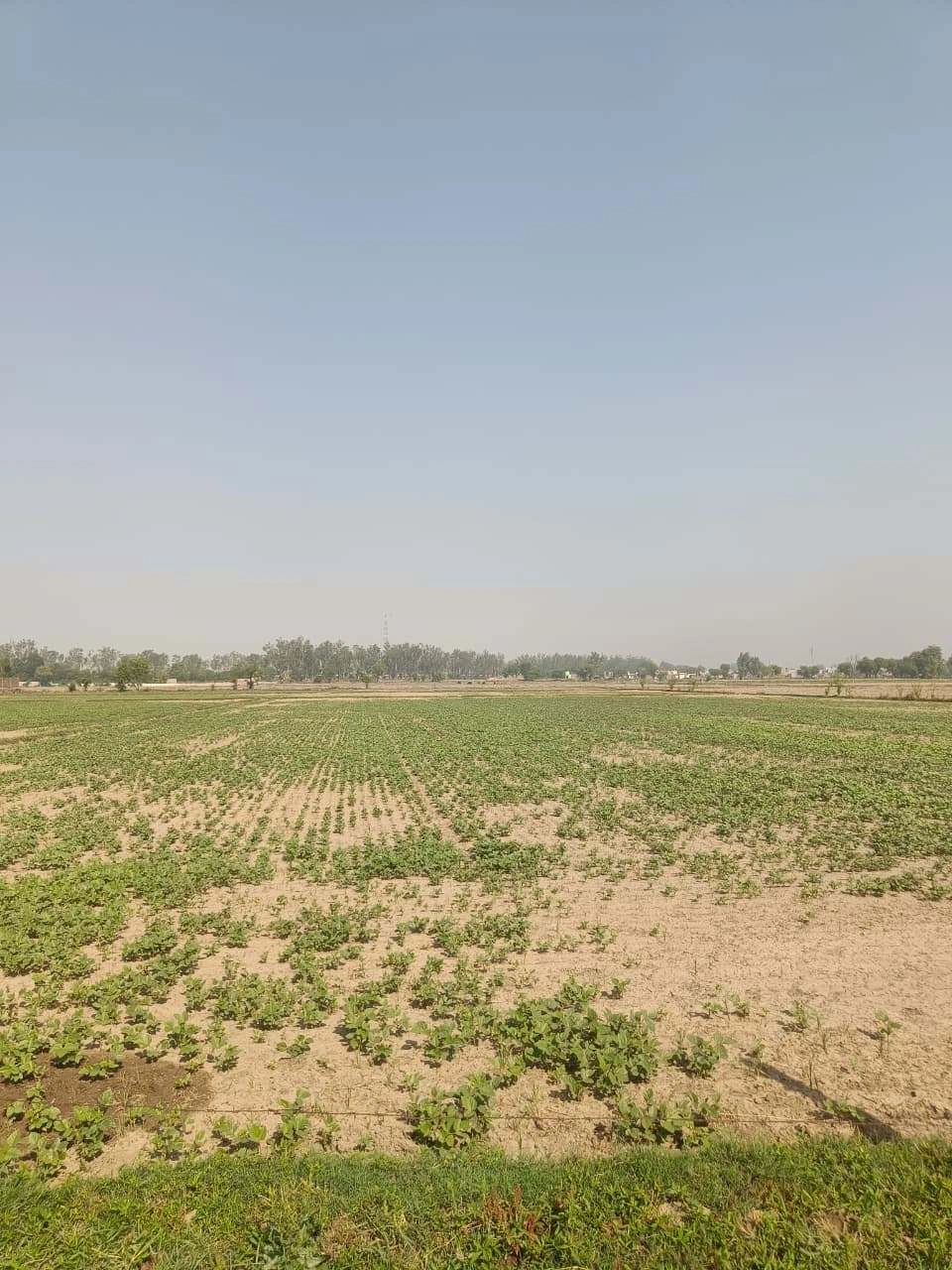 Ajhai Kalan, Uttar Pradesh 281406, India