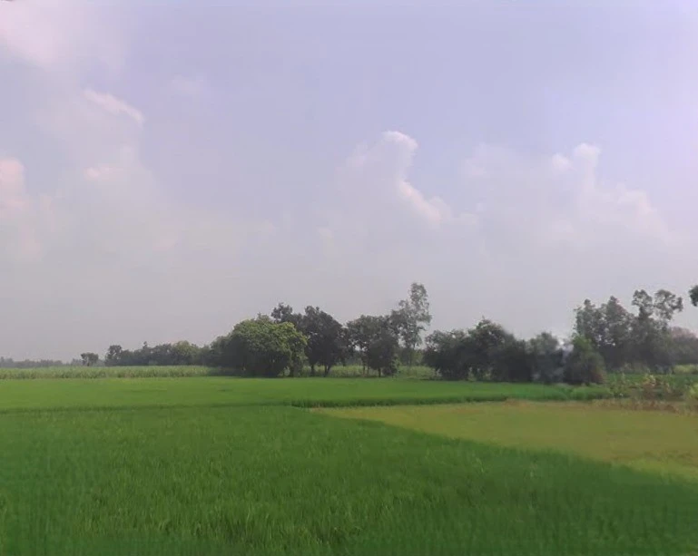 Karmepur, Uttar Pradesh, India