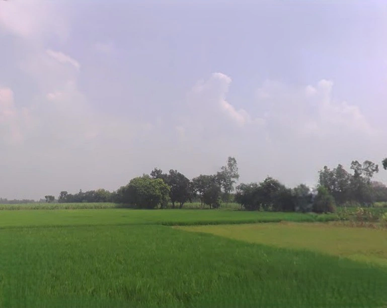 Karmepur, Uttar Pradesh, India