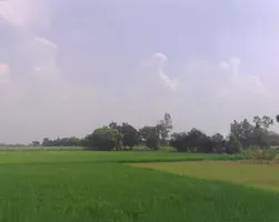 Karmepur, Uttar Pradesh, India preview 3