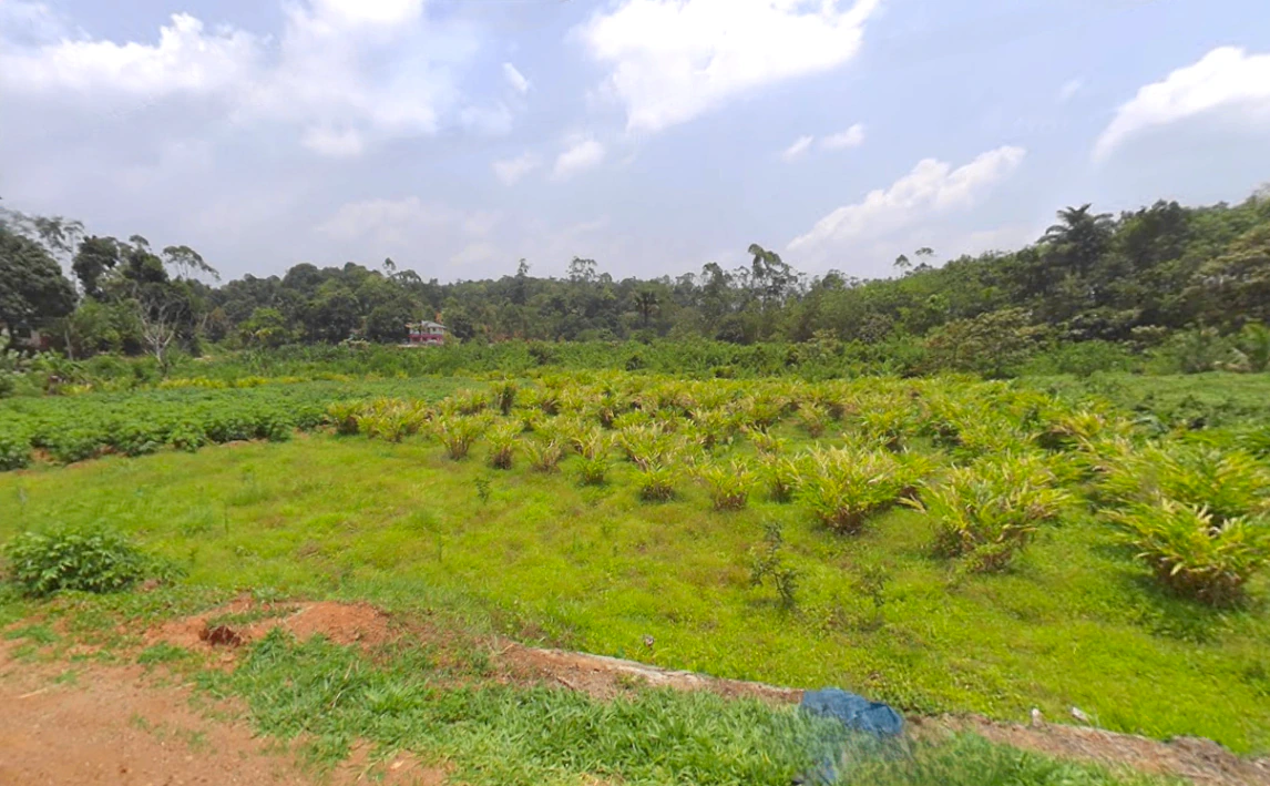 Karimban, Kerala 685602, India