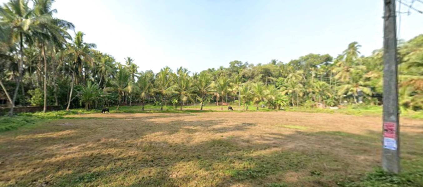 9872+WMH, Edakkara, Kerala 679331, India