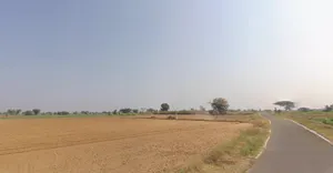 JMX6+CF Machhiel, Gujarat, India preview 2