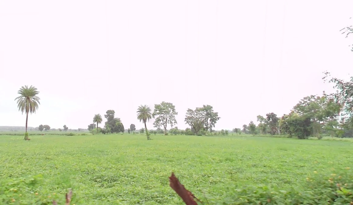 Salkanpur, Madhya Pradesh 466446, India