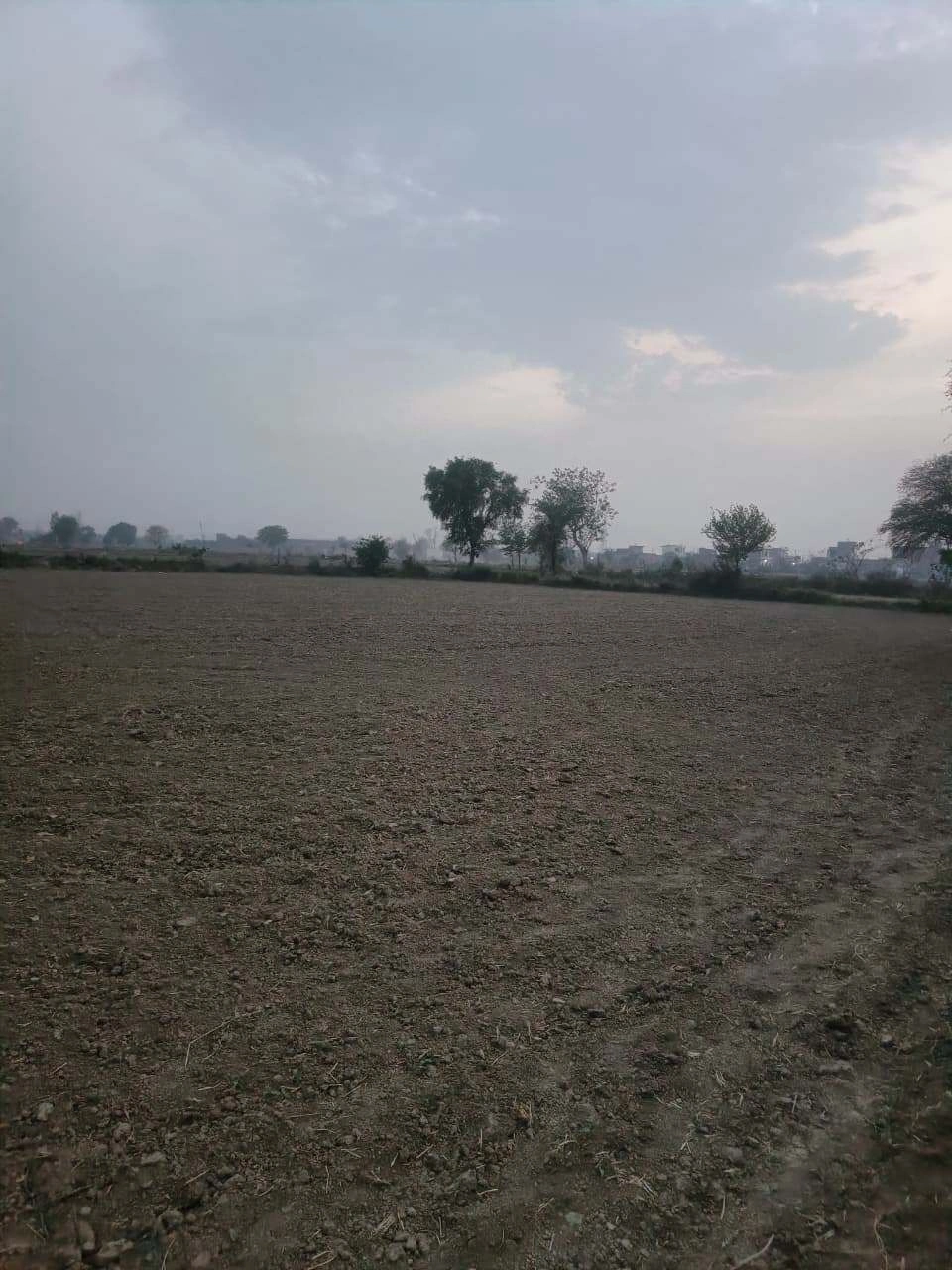 V665+2PM, Jaipur, Phulera, Baghpura, Rajasthan 303338, India