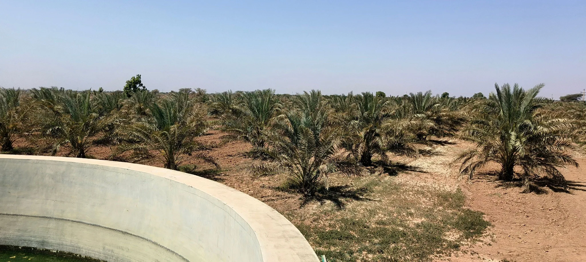 Bhadai Moti, Gujarat 370465, India