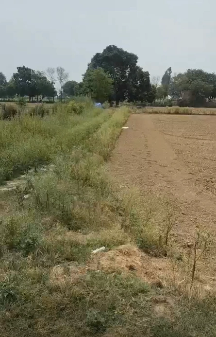Dadri, Gautam Buddha Nagar, Uttar Pradesh, India preview 3
