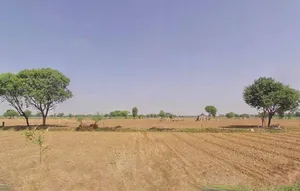 JF3C+X9V, Rundh Sundarwas, Rajasthan, India preview 2