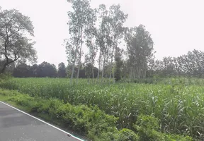 Nakur, Uttar Pradesh 247342, India preview 3