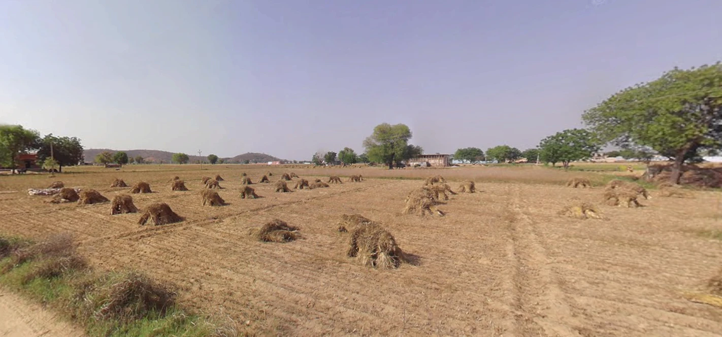 Danta Ramgarh, Rajasthan 332703, India