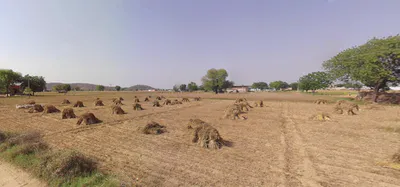 Danta Ramgarh, Rajasthan 332703, India preview 2