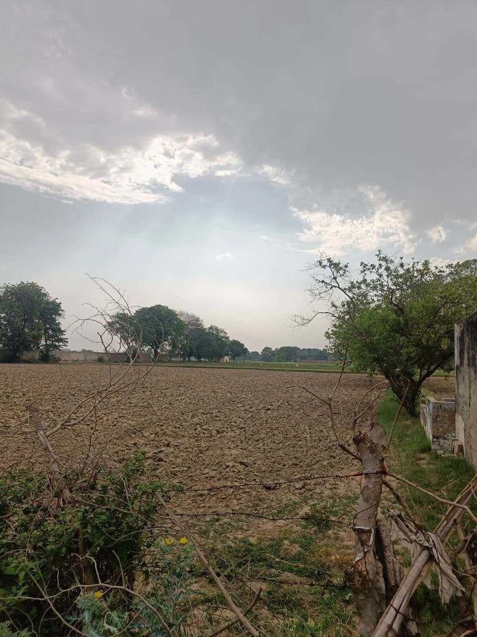 Chhata, Uttar Pradesh 281401, India