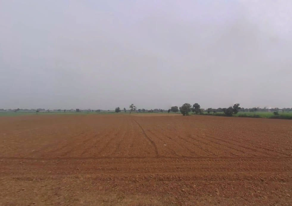 Peepal Khera, Rajasthan 321606, India preview 2