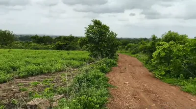 2GXG+86J, Vikarabad, Main Rd, Ravulpally, Telangana 509336, India preview 3