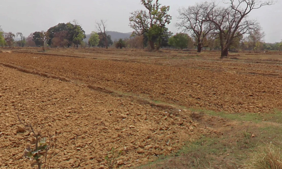 Gota, Chhattisgarh, India