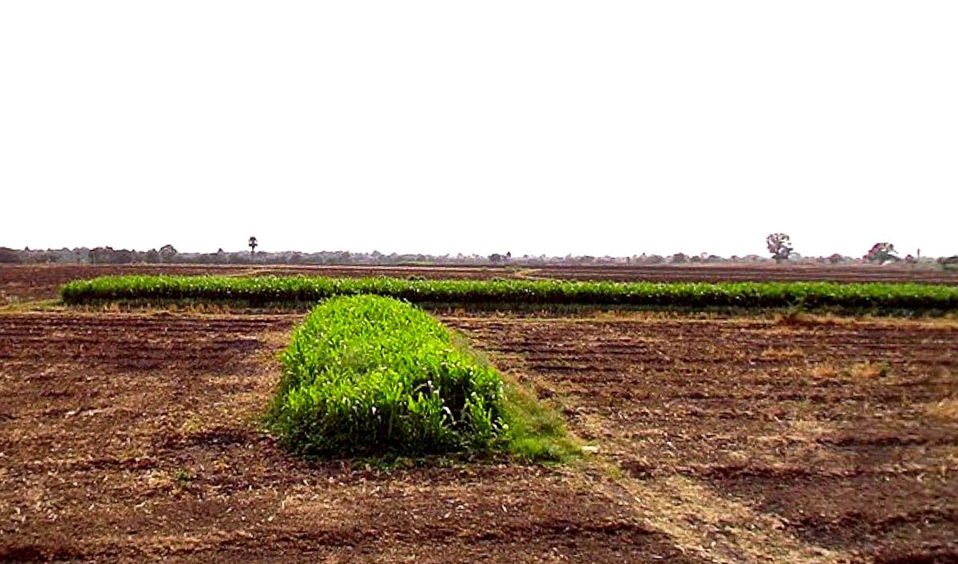 Barashiv, Maharashtra, India