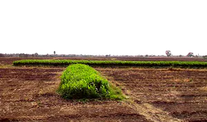 Barashiv, Maharashtra, India preview 3