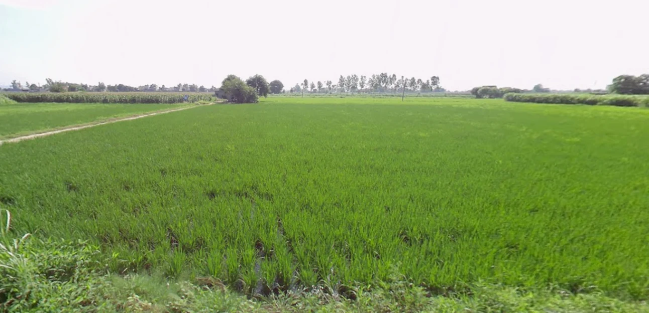 Behram, Punjab 144504, India