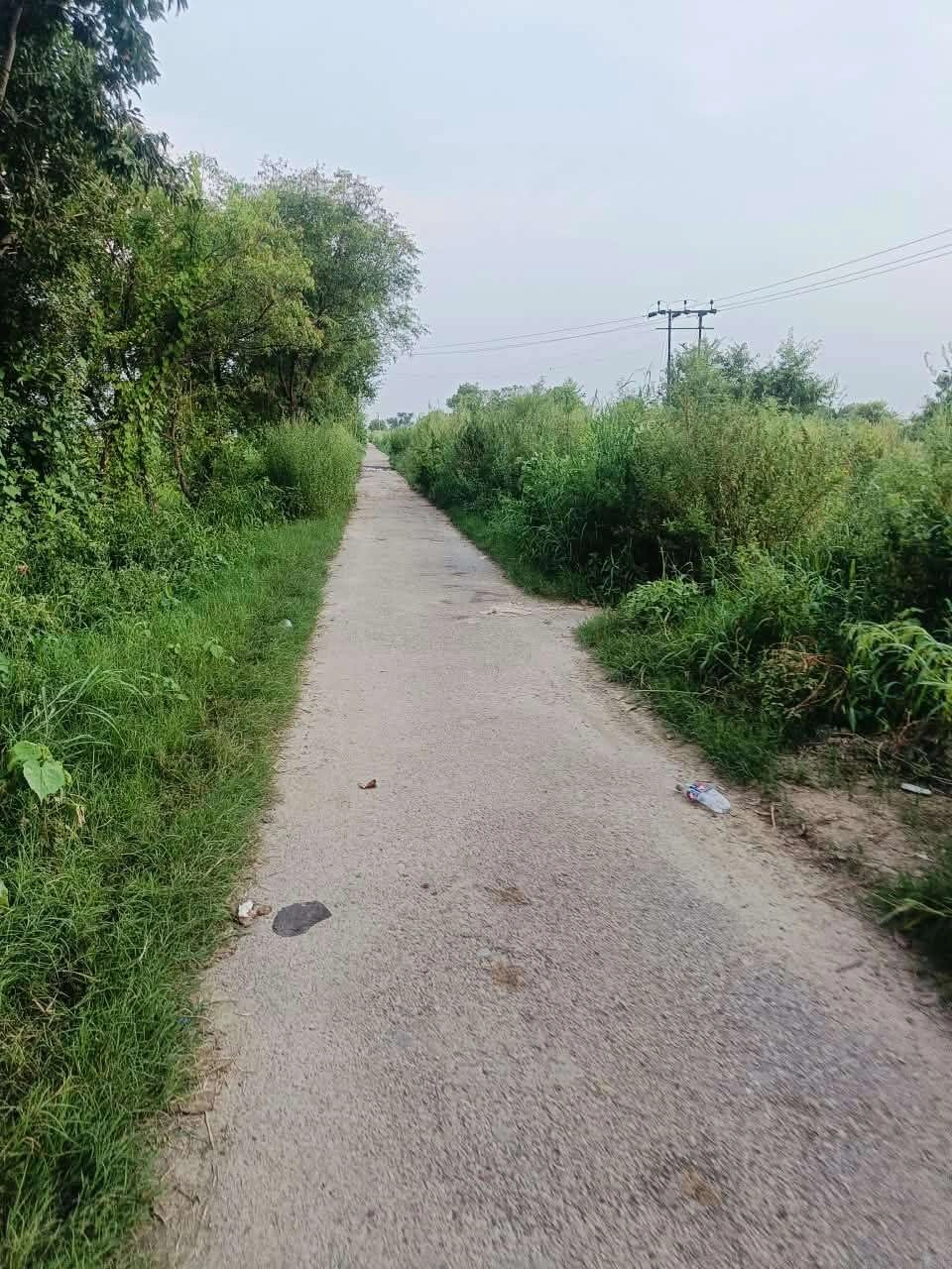 Borpa, Mathura, Uttar Pradesh, India