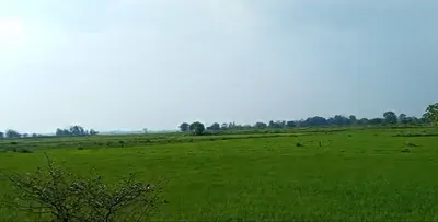 Nissing, Haryana 132024, India preview 2