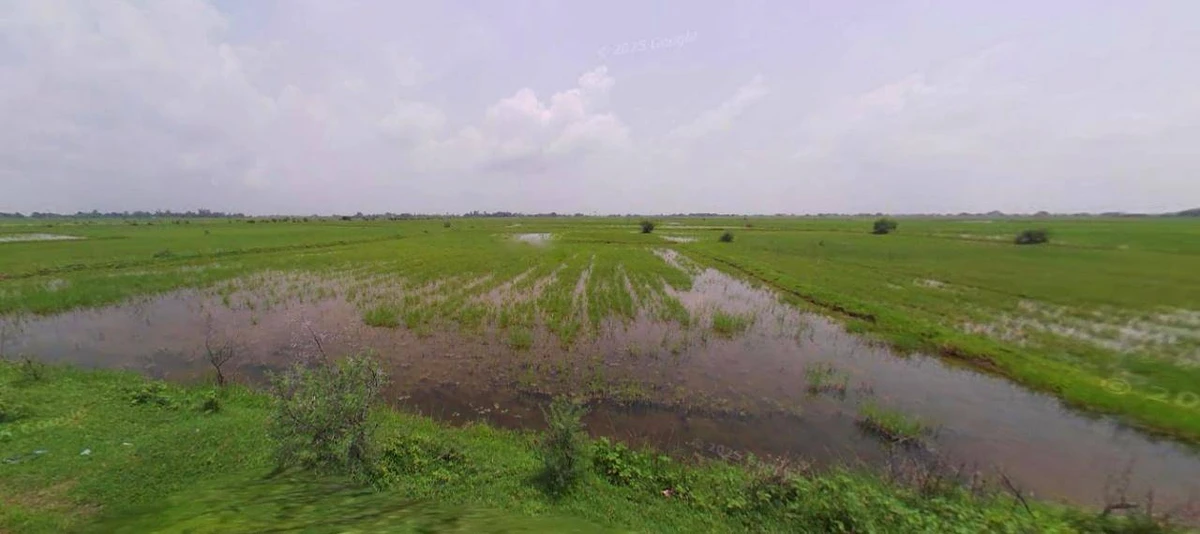 Satna Byp Rd, Trichi Colony, Satna, Madhya Pradesh, India