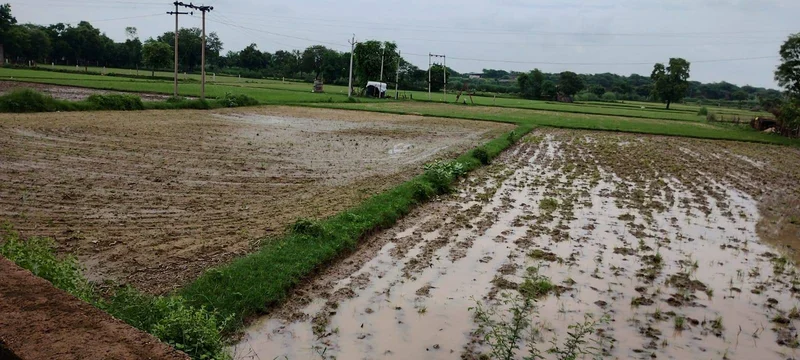 Helak, Rajasthan, India preview 2