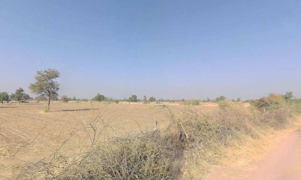 V5WM+2HV, Bandai, Rajasthan 306421, India