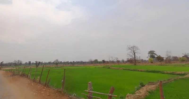 Sambalpur, Chhattisgarh 493773, India preview 2