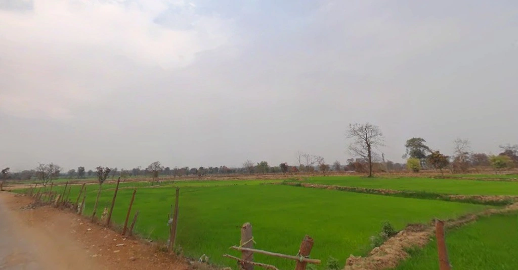 Sambalpur, Chhattisgarh 493773, India