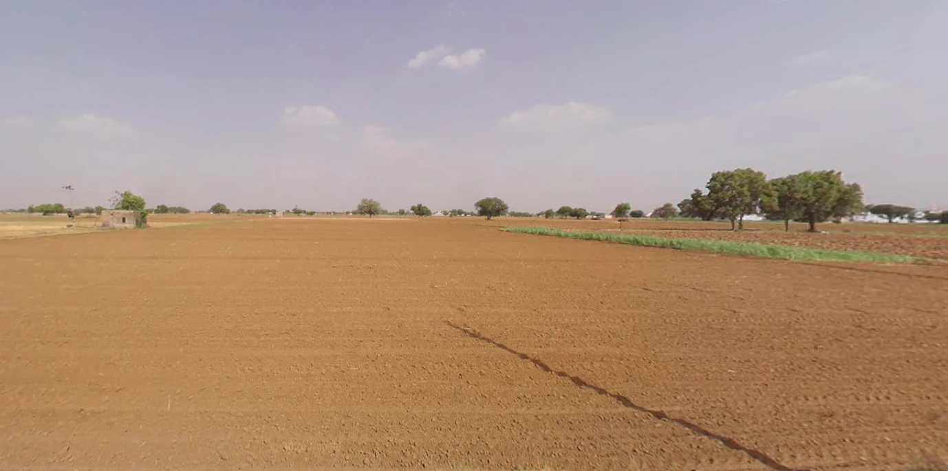 Kaluana, Haryana 125103, India