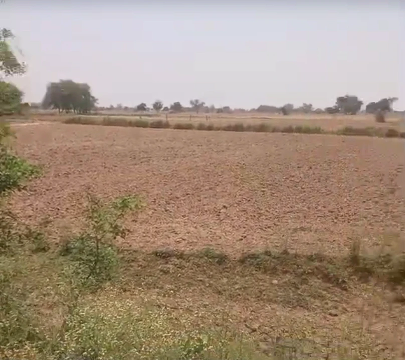 Bharatpur Rd, Bhanpur, Rajasthan, India