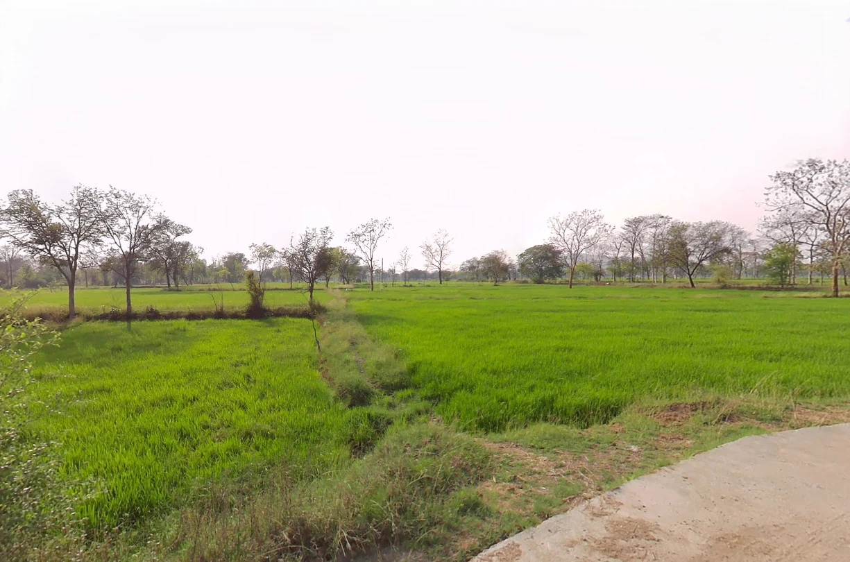 Amleshwar, Chhattisgarh 490042, India