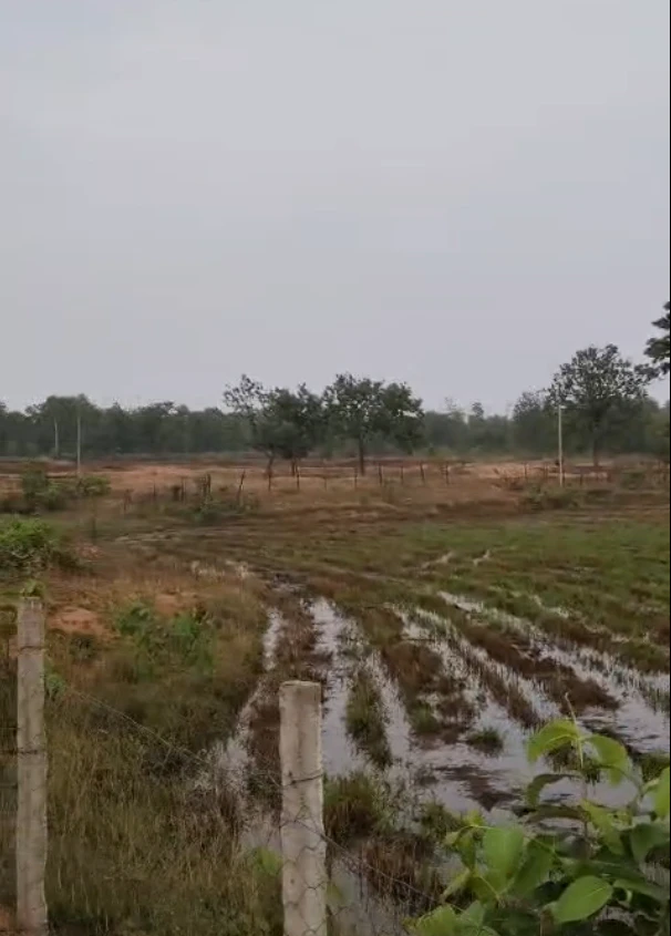 Shrikhandi Bhitta Pashchimi, Sitamarhi, Bihar 843331, India