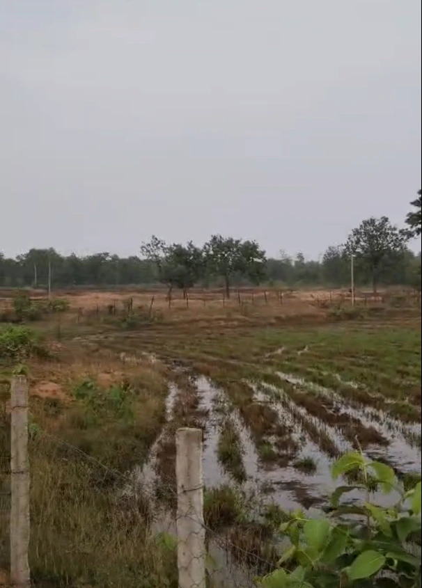 Shrikhandi Bhitta Pashchimi, Sitamarhi, Bihar 843331, India