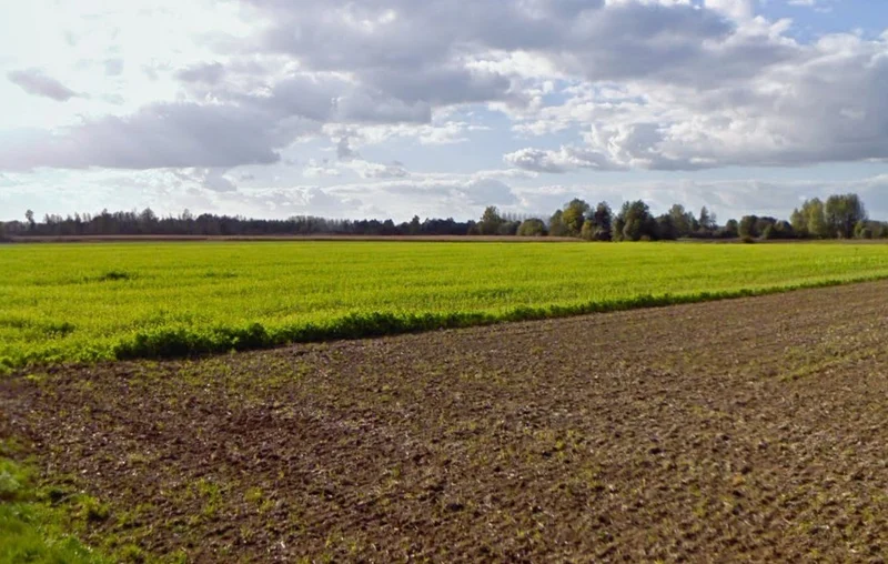 Bhanpur, Bhopal, Madhya Pradesh, India preview 3