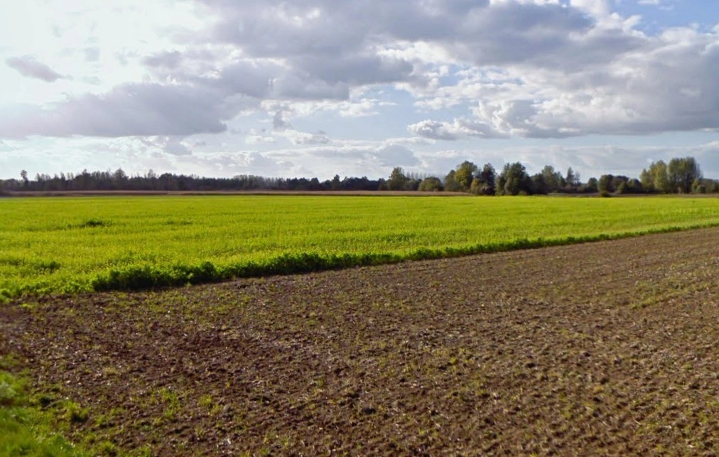 Bhanpur, Bhopal, Madhya Pradesh, India