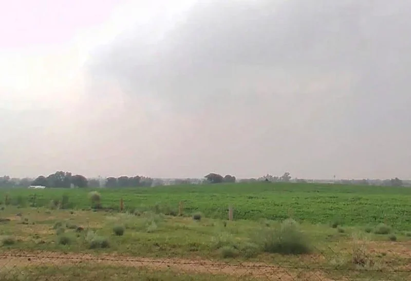 WVM8+576, Arjansar, Rajasthan 334604, India preview 3