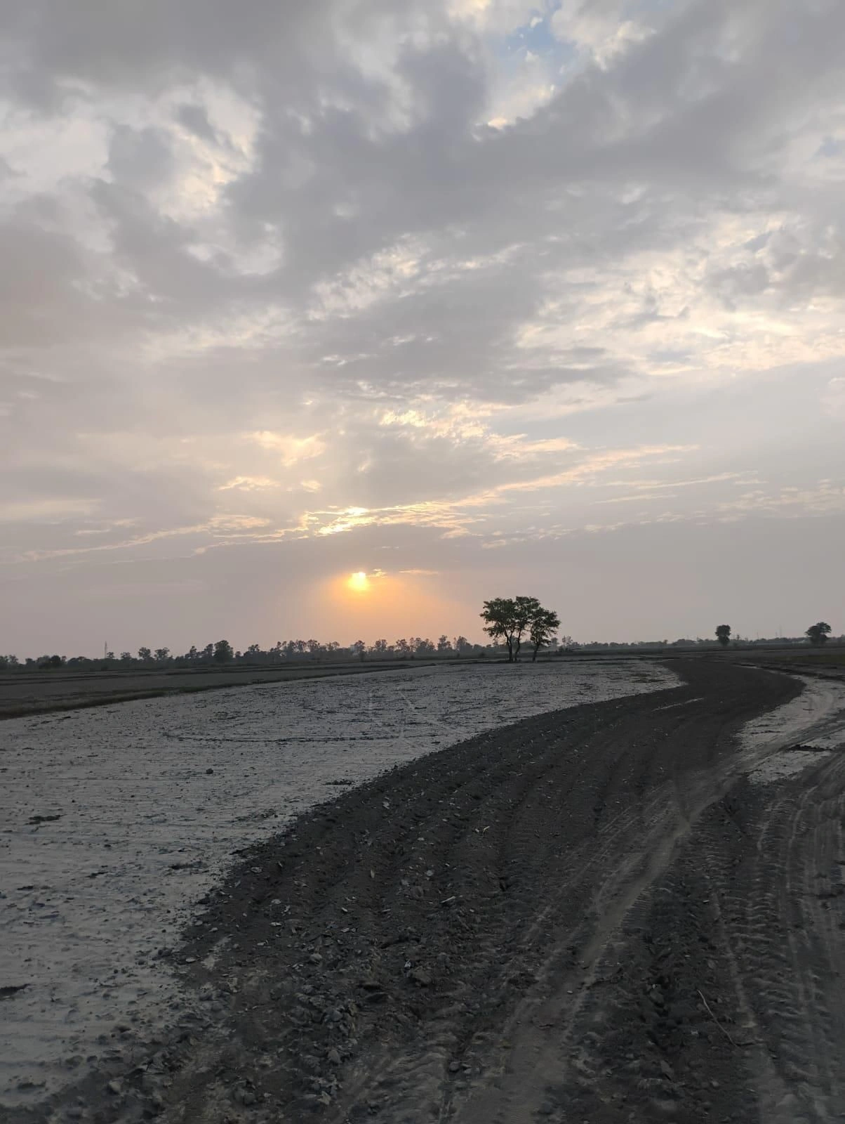Bishambhara, Uttar Pradesh 281404, India