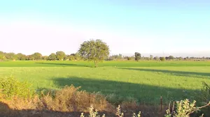 F26Q+PJC, Nanded, Madhya Pradesh 456668, India preview 3