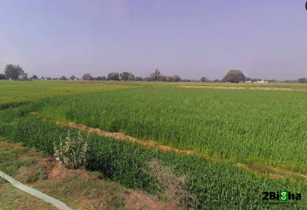Bagru, Haryana, India