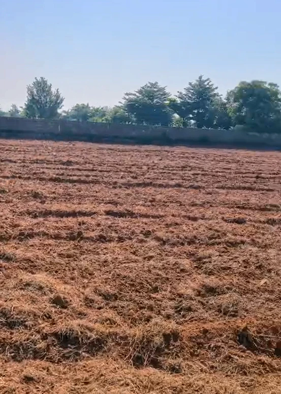 JR8Q+Q7 Devarkadra, Mahabubnagar, Telangana, India