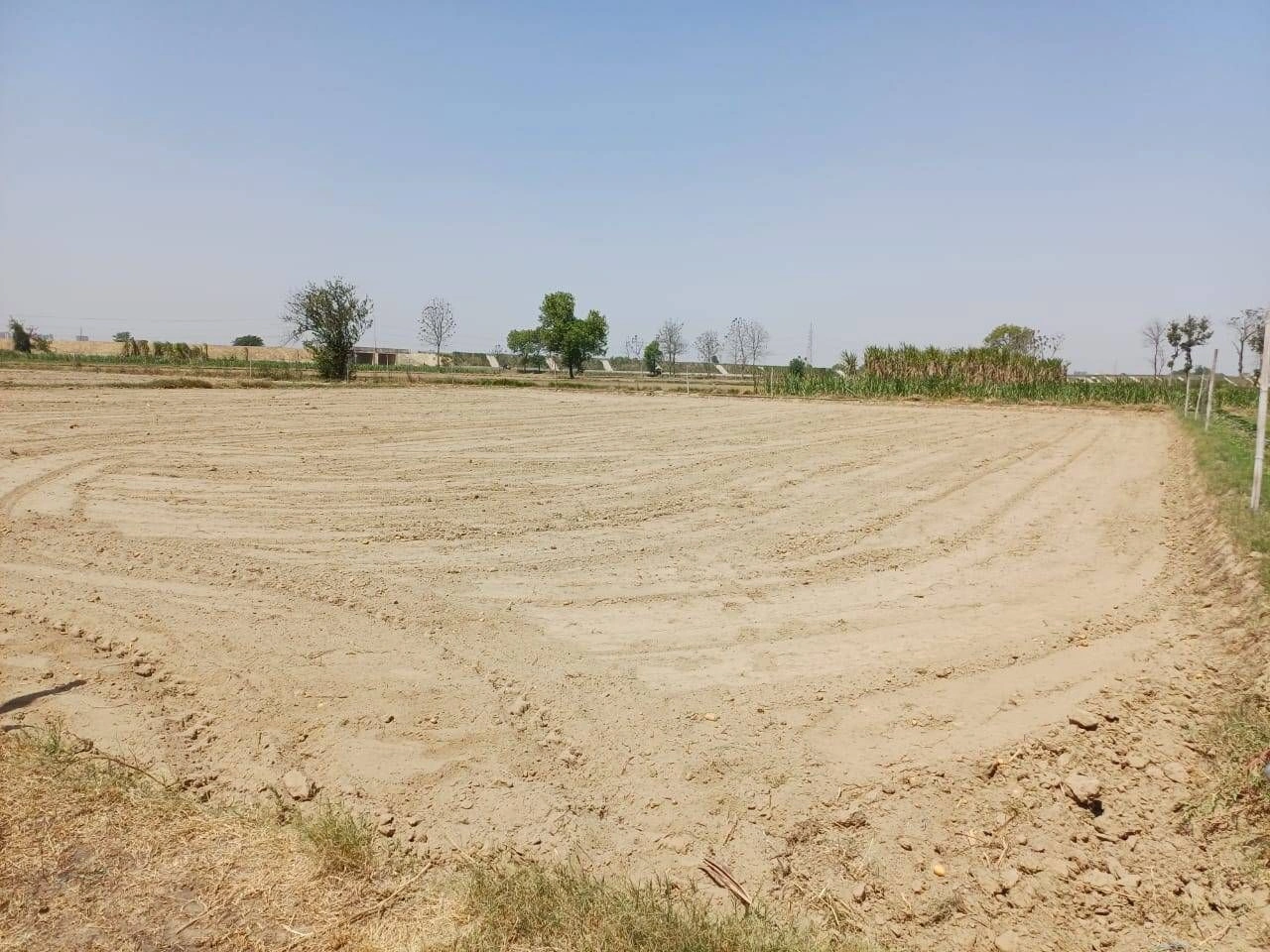 Sardhana, Uttar Pradesh 250342, India