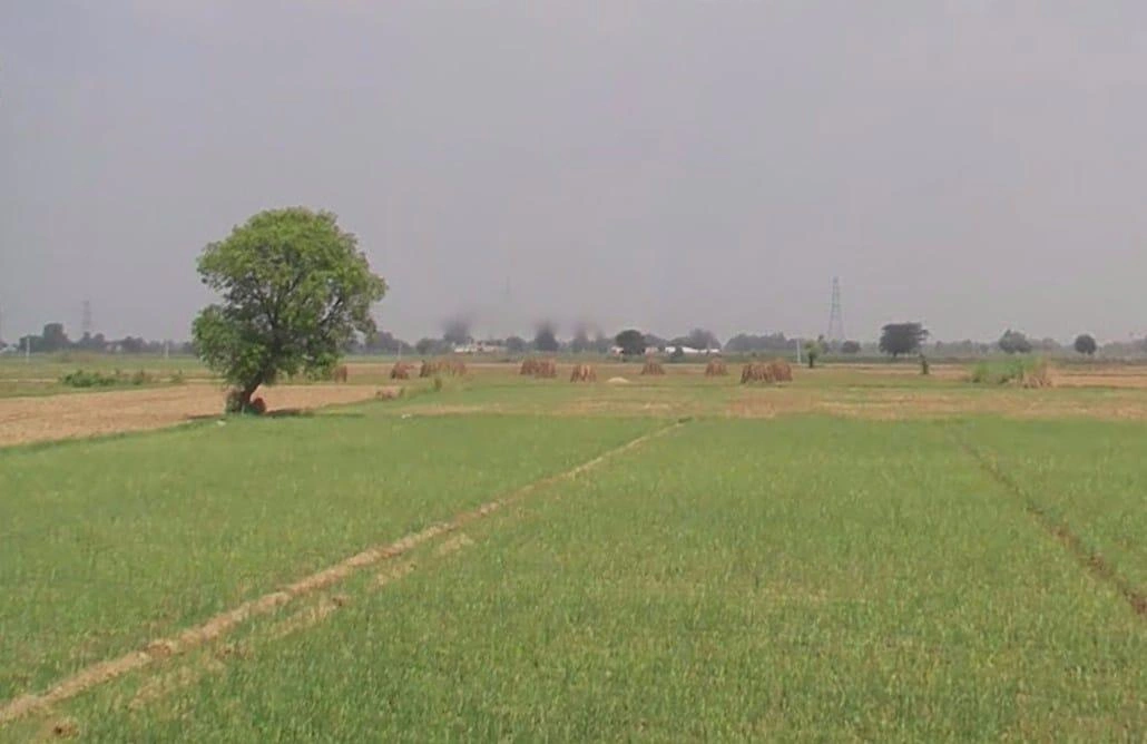 Alwar, Rajasthan, India