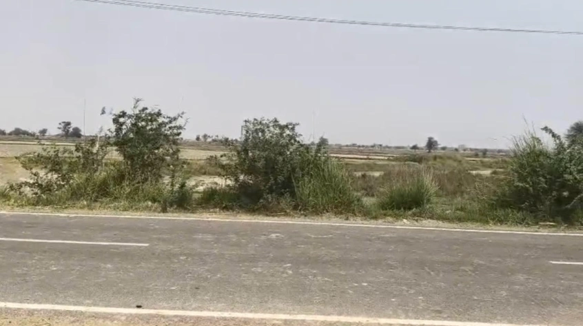 Rajana, Haryana, India