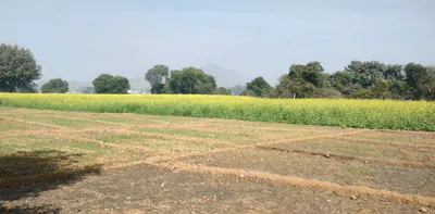 Sarai Banjara, Punjab 140402, India preview 3