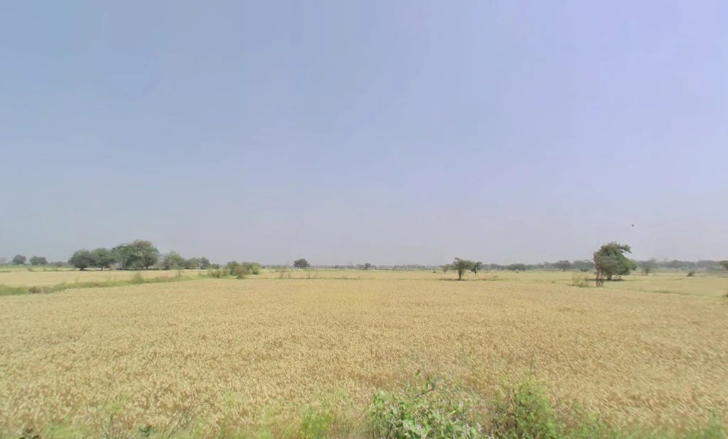 PG7P+J69, Simga - Kawardha Rd, Berla, Bemetara, Chhattisgarh 491335, India