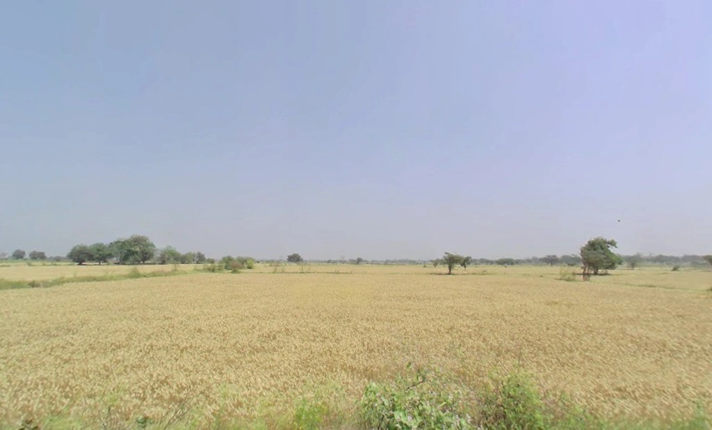 PG7P+J69, Simga - Kawardha Rd, Berla, Bemetara, Chhattisgarh 491335, India