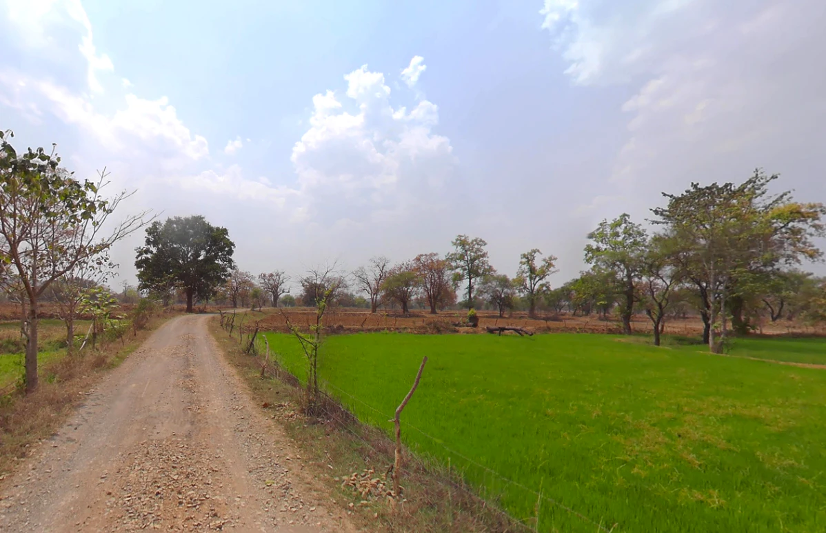 Dhamni, Chhattisgarh 493441, India