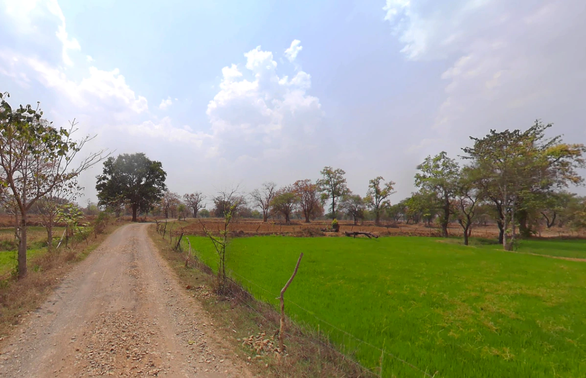 Dhamni, Chhattisgarh 493441, India