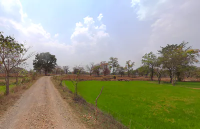 Dhamni, Chhattisgarh 493441, India preview 3